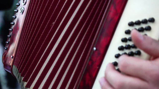 accordion player at a wedding, closeup view