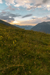 Sonnenuntergang in den Alpen auf einer Wiese mit Blick auf Berge