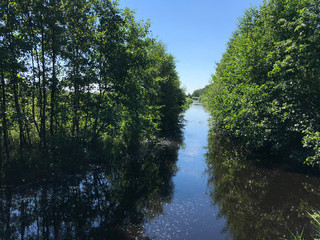 Obraz premium River and forest in Alde Feanen National Park