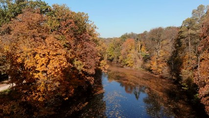 drone flight over autumn forest