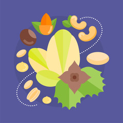 Vector Illustration of Nuts.