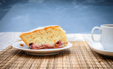 Large shot of sponge cake plum pie.