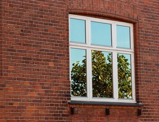 window in a brick wall