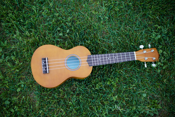 Stringed musical instrument little Hawaiian guitar lying on the green grass.
