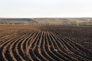 brown ground plowed field, harrow lines, sunset time