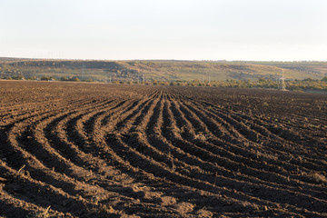 brown ground plowed field, harrow lines, sunset time