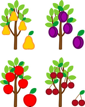 Set of different cartoon fruit trees isolated on white background