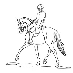 A sketch of a dressage rider on a horse executing the half pass.