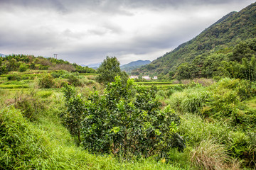 Obraz premium landscape in the mountains