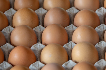 Closeup chicken eggs