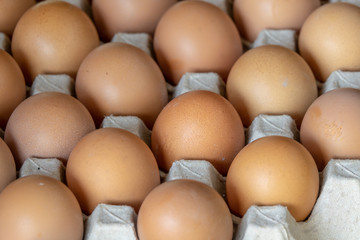 Closeup chicken eggs