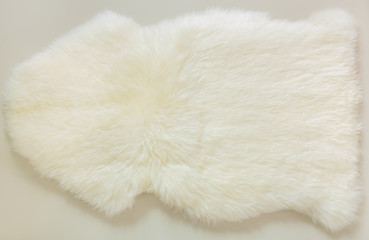 background and textured of real white cream wool sheep