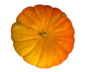 Big ripe pumpkin on a white background top view