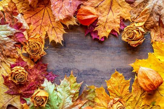 Autumn background of yellow and red maple leaves and dried roses. Copy space