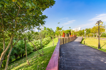 Central Park in Shenzhen