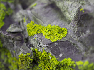 Farbiger Stein Abstrakt