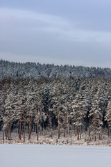winter landscape. frosty fresh air on a mountain lake. clear snow, pines and trees on the mountainous shore. background for layout with free space