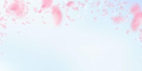 Sakura petals falling down. Romantic pink flowers 