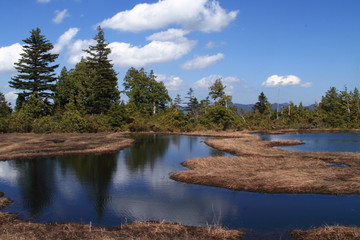 尾瀬　熊沢田代