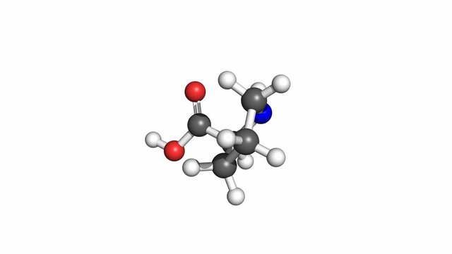 Proline (amino acid) molecule, conventional coloring. Rotating ball and stick model, seamless loop.