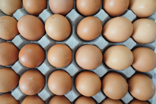 Brown chicken eggs in egg tray packaging