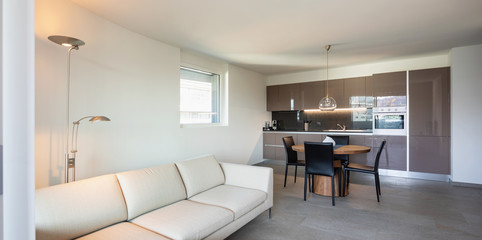 Fototapeta na wymiar Modern apartament, living room and kitchen in open space