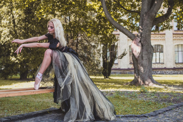 Fototapeta premium Ballet dancer dancing in nature among autumn leaves. Young beautiful ballerina dancing outdoors in a park. Ballerina Project 