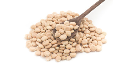 Pile of Raw altramuces, lupinus albus beans. Also known as Tremoco and lupini