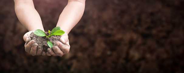 World environment day concept: Human hands holding seed tree with soil on blurred agriculture field background