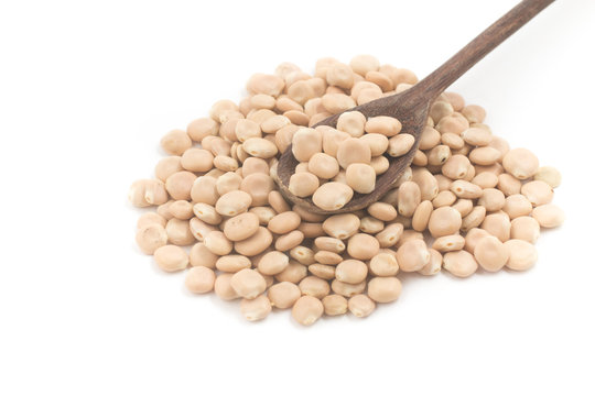 Pile of Raw altramuces, lupinus albus beans. Also known as Tremoco and lupini