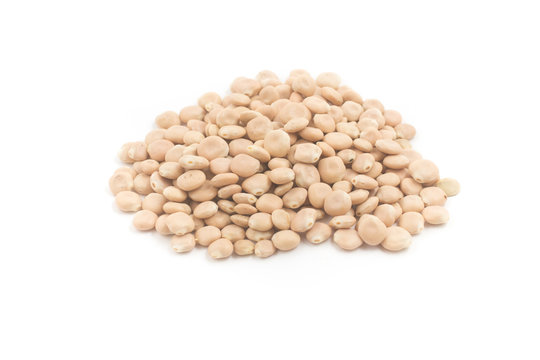 Pile of Raw altramuces, lupinus albus beans. Also known as Tremoco and lupini