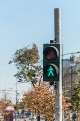 Green traffic light signal for pedestrians on the crosswalk road in the city