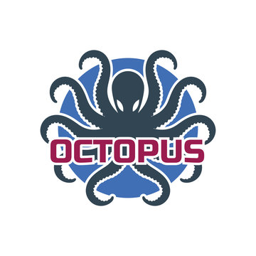 octopus logo for your business, vector illustration