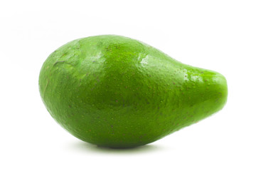 Fresh Big avocado