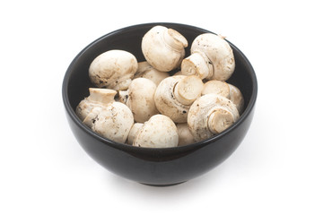 Fototapeta na wymiar Mushroom champignon in a bowl isolated on white background