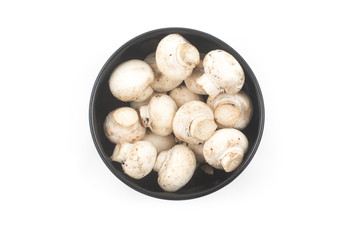 Mushroom champignon in a bowl isolated on white background