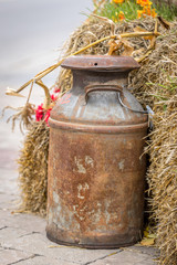 Obraz premium Halloween pumpkin and hay decorations.