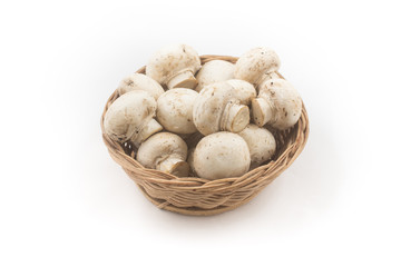 Mushroom champignon in a bowl isolated on white background