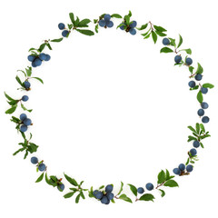 Sloe Berry Wreath