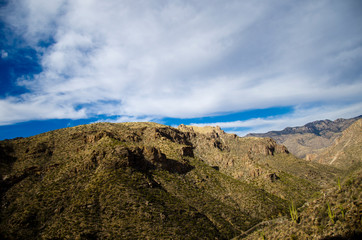 サボテンが広がる渓谷