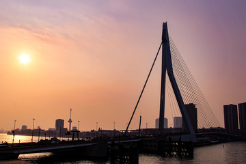 Silhouette of Erasmus Bridge (Erasmusbrug) in Rotterdam during sunset