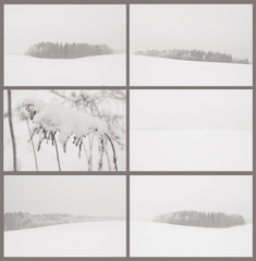 Коллаж из шести  зимних фото: пейзажи и крупный элемент ( сухая, заснеженная ветка)