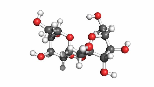 Saccharose molecule, rotating ball-and-stick model, seamless loop