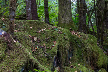 Fototapeta premium September 08 2018 Juneau Alaska. ruins in he Treadwell mine historic park in Juneau Alaska
