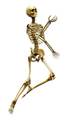 3D Rendering Human Skeleton on White