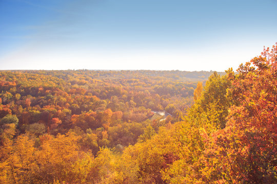 Autumn picturesque landscape with colorful forrest