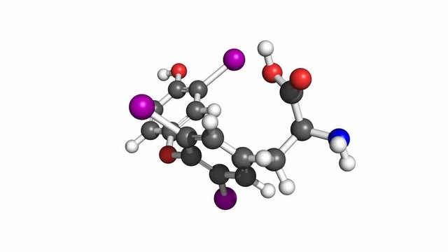 Triiodothyronine (T3) is a thyroid hormone that affects growth and development, metabolism, body temperature, and heart rate. Rotating ball-and-stick model, seamless loop.