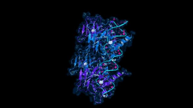 Ribbon model of p53 protein bound to DNA molecule. p53 (aka tumor protein 53) is a transcription factor whose inactivation can trigger the onset of cancer. Rotating cartoon model, seamless loop.
