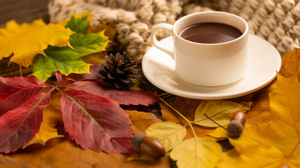 Autumn, fall leaves, a hot cup of coffee and a warm scarf on the background of a wooden table. Seasonal, morning coffee, Sunday relaxing and still-life concept. Warm, comfort and home comfort