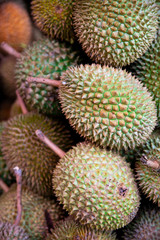 Fototapeta premium Details of the Exotic Asian Fruit Durian 